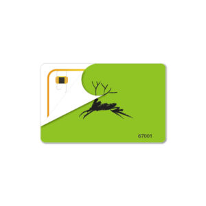 13.56MHz Contactless RIFD NXP Mifare Desfire EV1 Cards