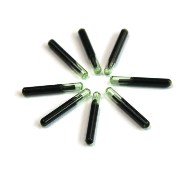 Injectable Glass Tube Pet Skin Tag for Dog Cat Cattle - Image 3