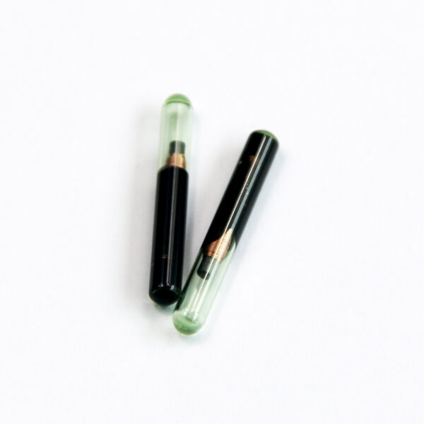 Injectable Glass Tube Pet Skin Tag for Dog Cat Cattle - Image 4